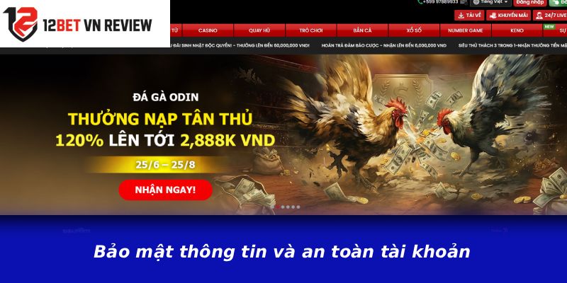 Bảo mật thông tin và an toàn tài khoản