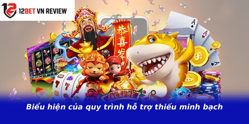 Biểu hiện của quy trình hỗ trợ thiếu minh bạch