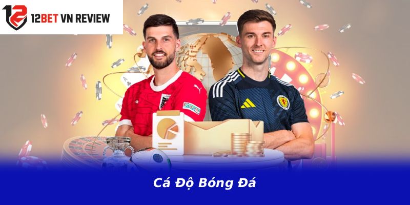 Cá Độ Bóng Đá